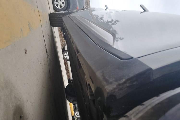 Used AION Y 2023 Younger Right Side Sill