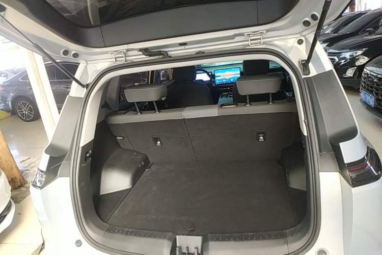 Used AION Y 2023 Younger Trunk