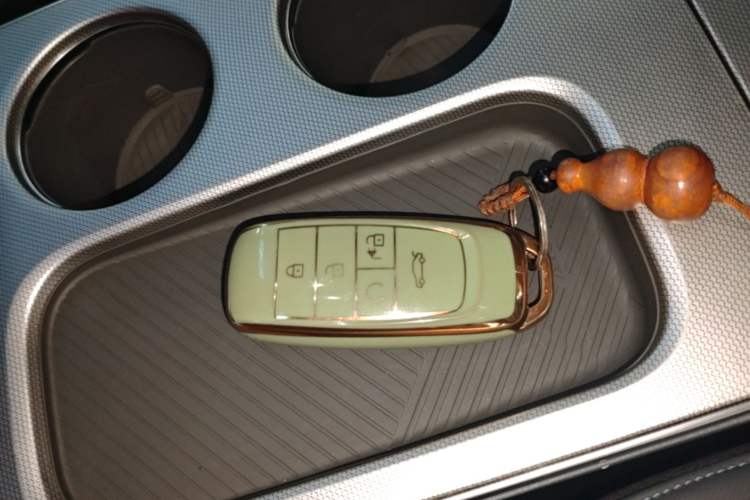 Used AION Y 2023 Younger Star Edition Vehicle Key