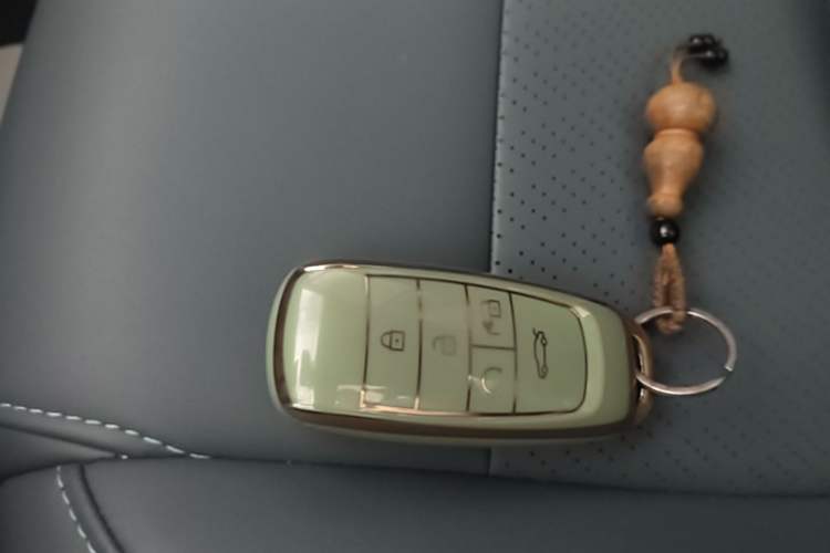 Used AION Y 2023 Younger Star Edition Vehicle Key