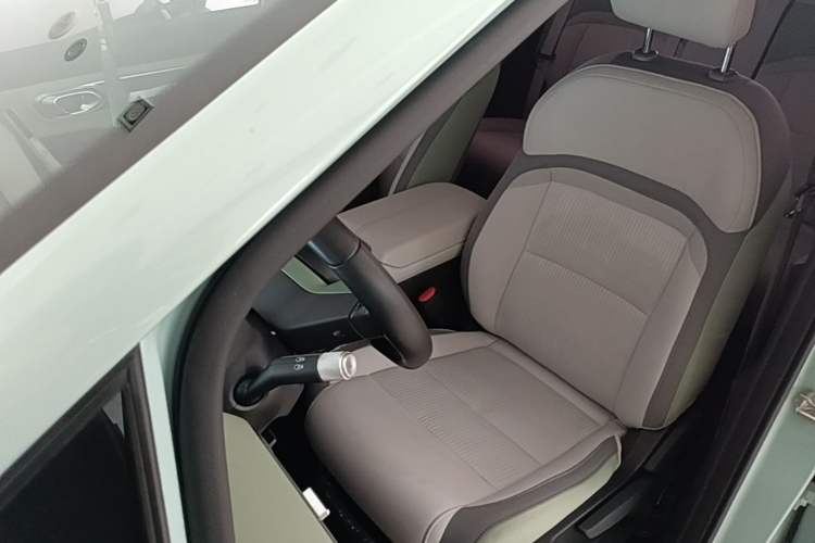 Used AION Y 2023 Younger Left Front Seat
