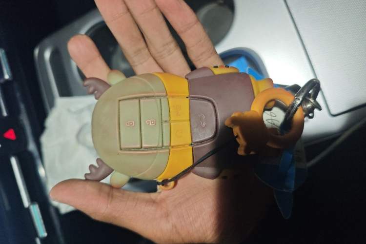 Used AION Y 2023 Younger Vehicle Key