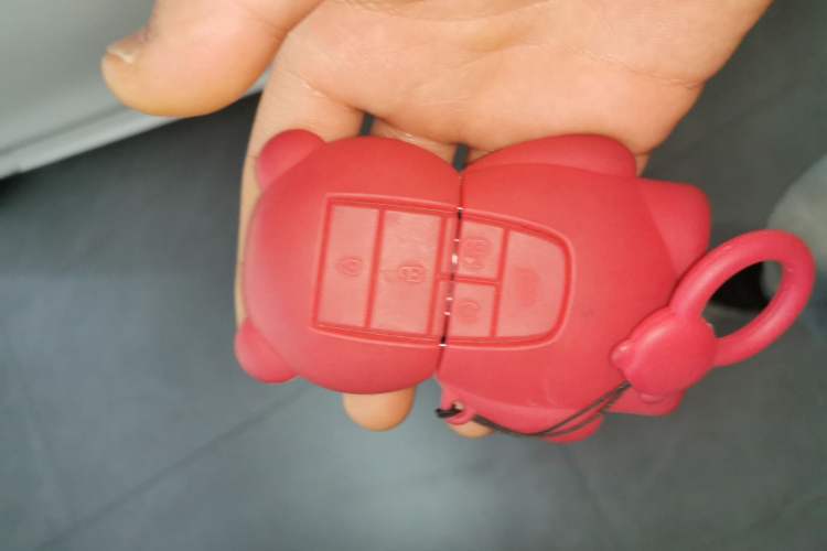 Used AION Y 2023 Younger Star Edition Vehicle Key
