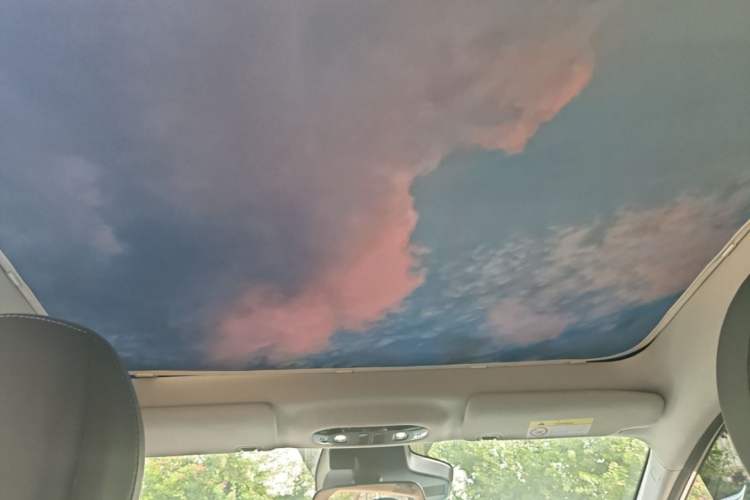 Used AION Y 2023 Plus 510 Smart Edition Headliner