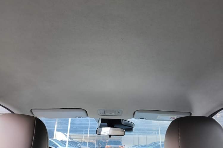 Used AION Y 2023 Plus 610 Enjoyment Edition Ternary Lithium Headliner