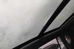 Thumbnail 21
