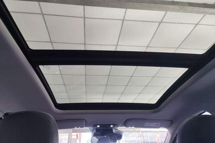 Used AION Y 2023 Plus 510 Smart Edition Headliner