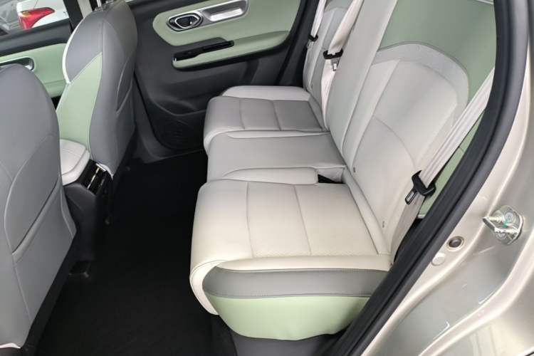 Used AION Y 2023 Plus 610 Smart Edition Ternary Lithium Left Rear Seat
