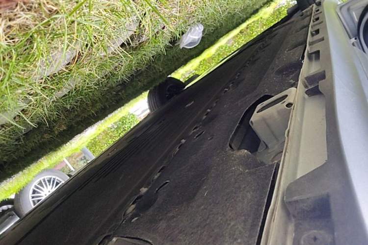 Used AION Y 2023 Younger Left Side Sill