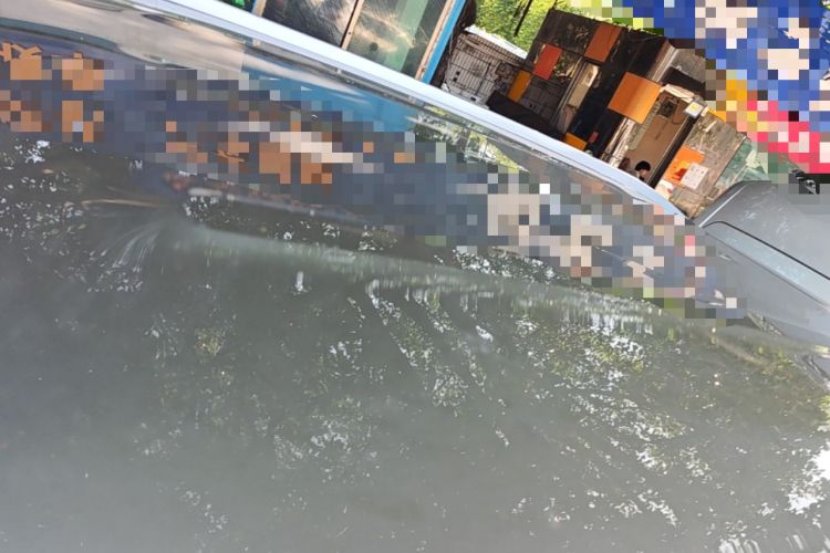Used AION Y 2023 Plus 510 Enjoy Edition Roof