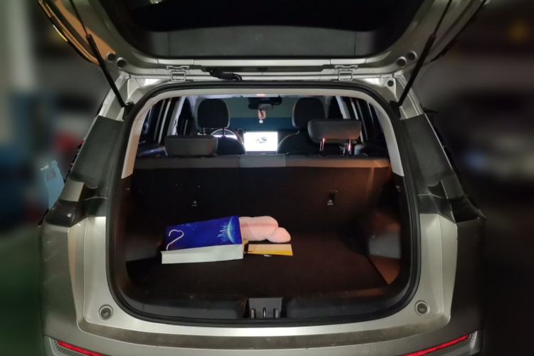 Used AION Y 2023 Younger Trunk