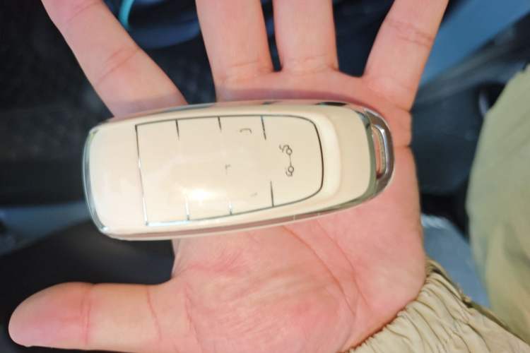 Used AION Y 2023 Younger Vehicle Key