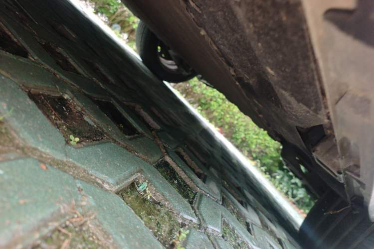 Used AION Y 2023 Younger Chassis Rear Left