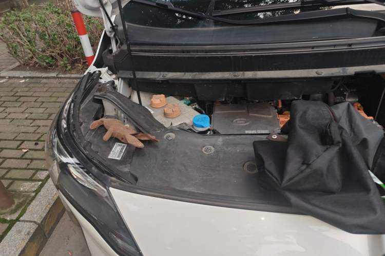 Used AION Y 2023 Younger Engine Bay Right