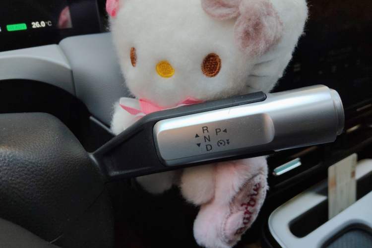 Used AION Y 2023 Plus 610 Enjoy Edition Gear Lever