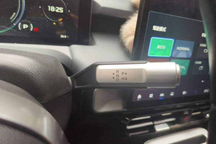 Used AION Y 2023 Younger Star Edition Gear Lever