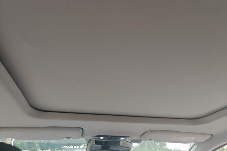 Used AION Y 2023 Plus 610 Smart Edition Ternary Lithium Headliner