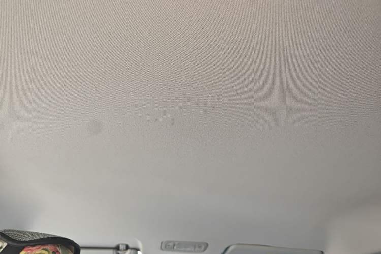 Used AION Y 2023 Plus 510 Enjoy Edition Headliner