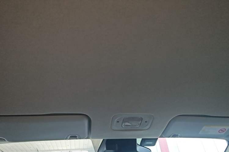 Used AION Y 2023 Plus 510 Enjoy Edition Headliner