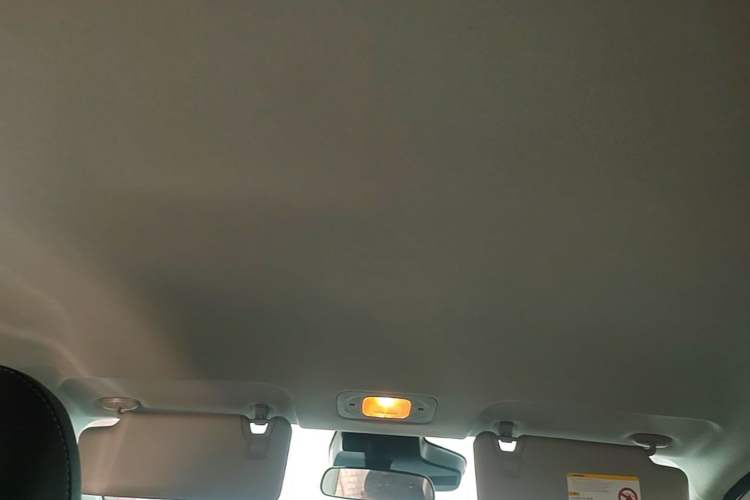 Used AION Y 2023 Plus 510 Enjoy Edition Headliner
