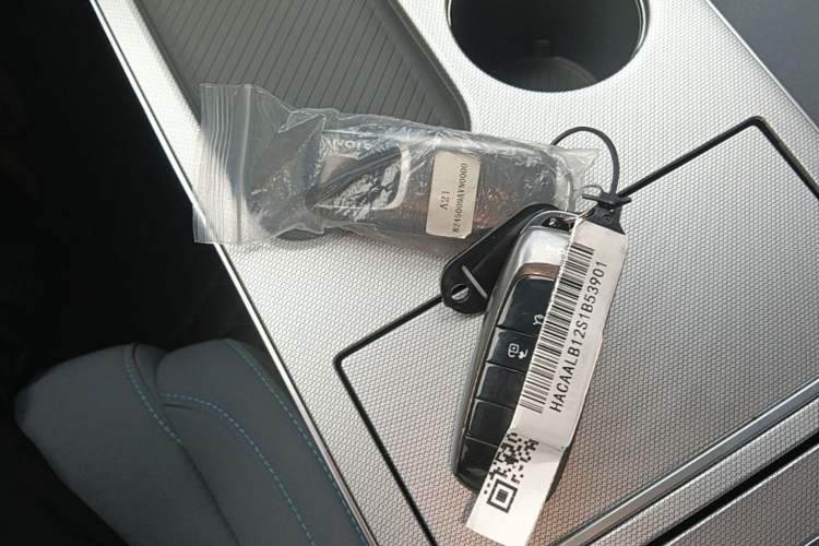 Used AION Y 2023 Plus 610 Enjoy Edition Interior 1