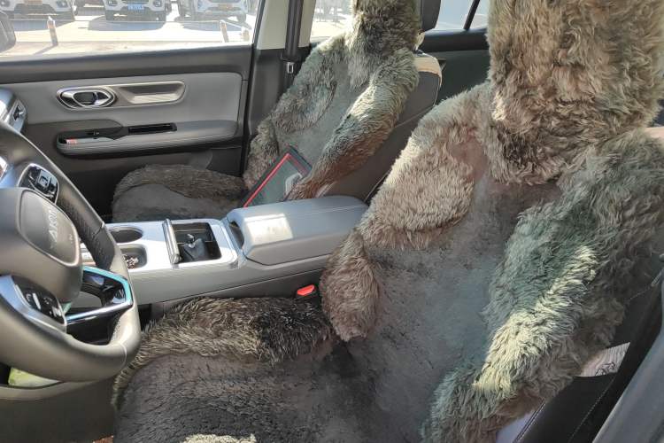 Used AION Y 2023 Younger Star Edition Left Front Seat