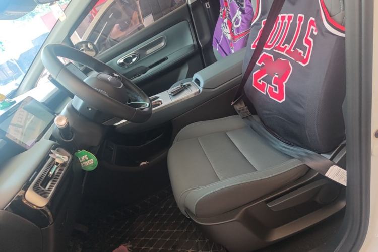 Used AION Y 2023 Younger Left Front Seat