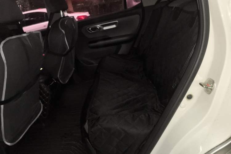 Used AION Y 2023 Younger Left Rear Seat