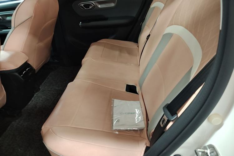 Used AION Y 2023 Plus 510 Smart Edition Left Rear Seat