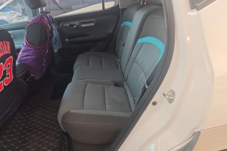 Used AION Y 2023 Younger Left Rear Seat