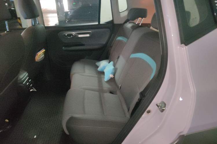Used AION Y 2023 Younger Left Rear Seat