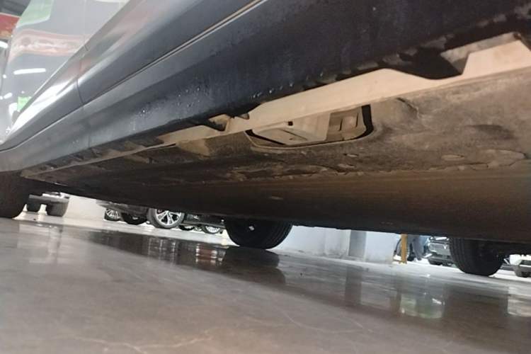 Used AION Y 2023 Younger Star Edition Left Side Sill