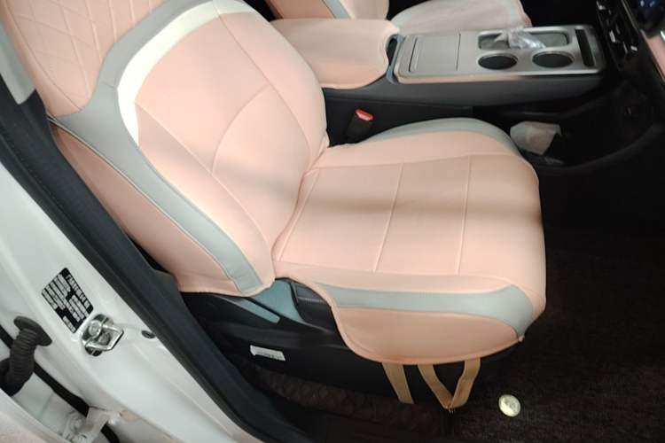 Used AION Y 2023 Plus 510 Smart Edition Right Front Seat