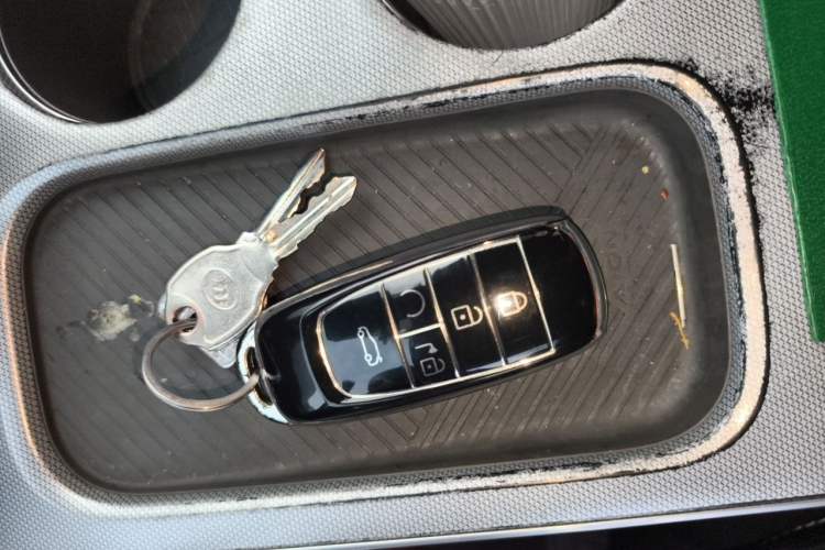 Used AION Y 2023 Plus 510 Enjoy Edition Vehicle Key