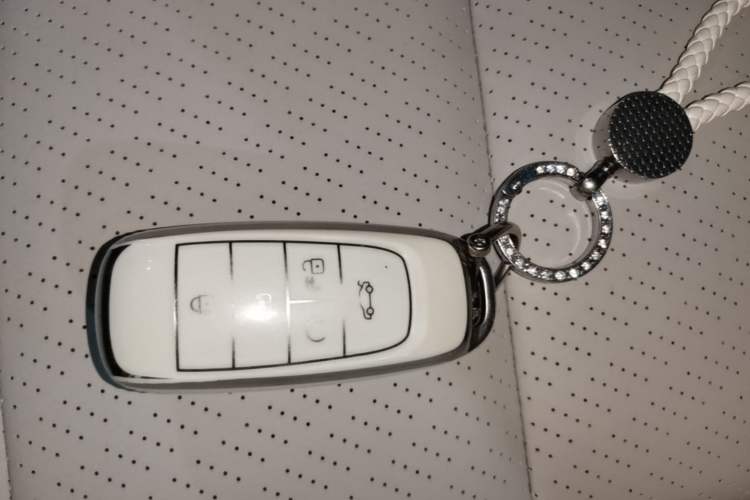 Used AION Y 2023 Plus 510 Tech Edition Vehicle Key