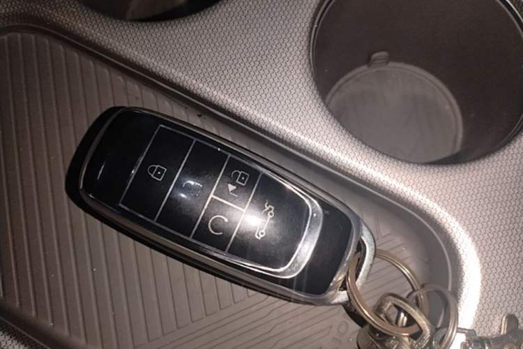 Used AION Y 2023 Younger Star Edition Vehicle Key