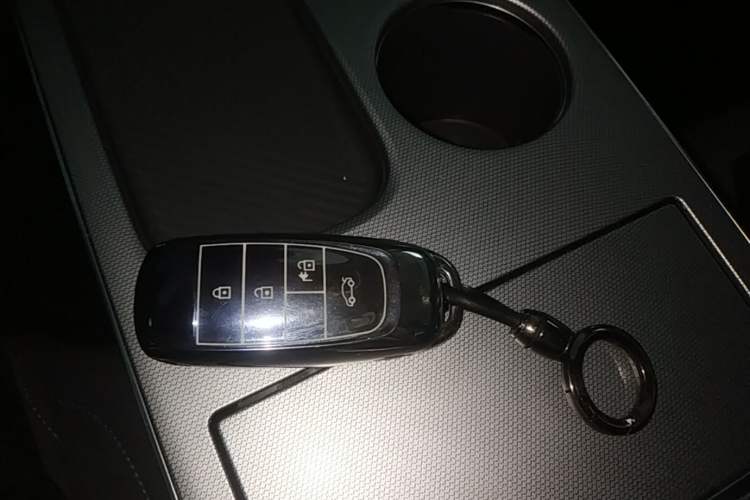 Used AION Y 2023 Younger Vehicle Key