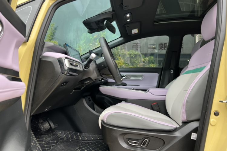 Used AION Y 2023 Plus 610 Smart Edition Ternary Lithium Left Front Seat