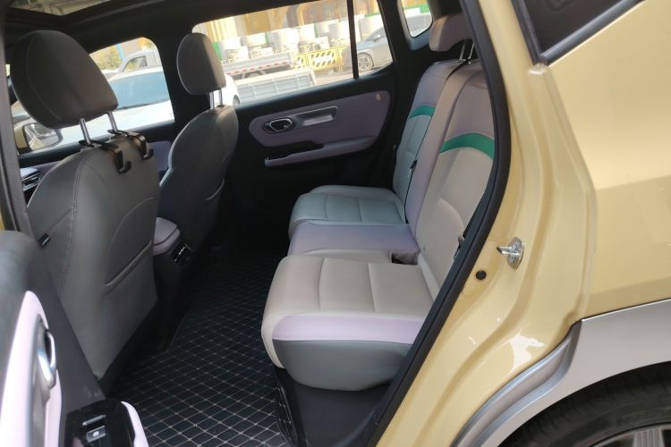 Used AION Y 2023 Plus 610 Smart Edition Ternary Lithium Left Rear Seat