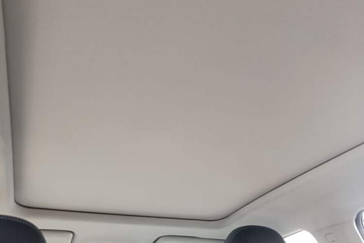 Used AION Y 2024 Plus 610 Intelligent Driving Version Headliner