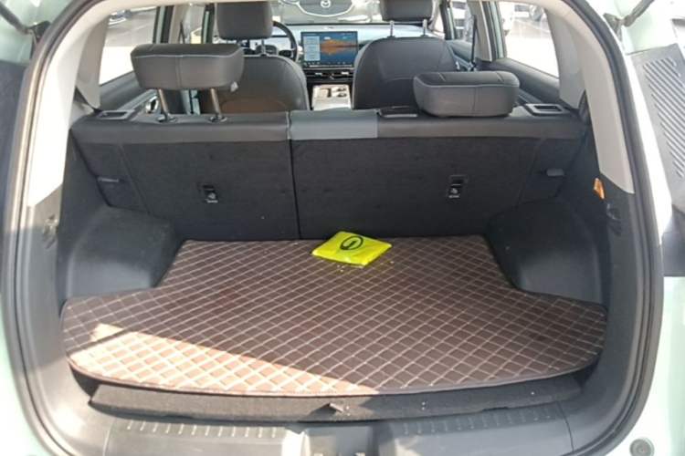 Used AION Y 2024 Plus 610 Intelligent Driving Version Trunk