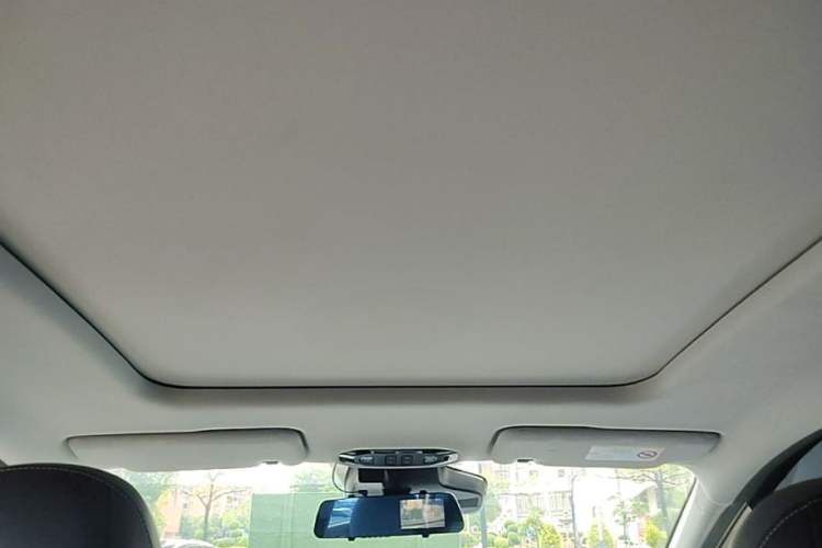 Used AION Y 2024 Plus 610 Intelligent Driving Version Headliner