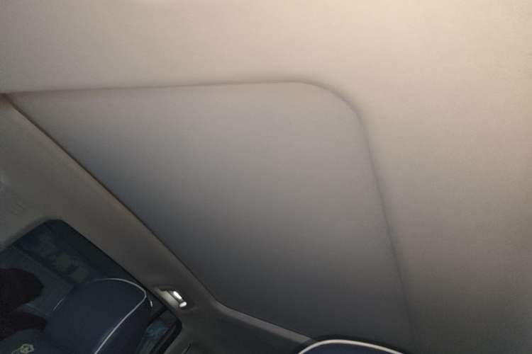 Used AION Y 2024 Plus 610 Intelligent Driving Version Headliner