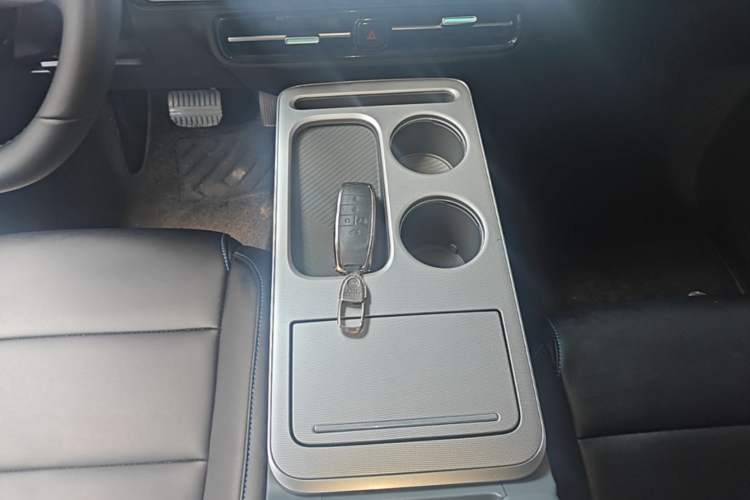 Used AION Y 2024 Younger Gear Lever