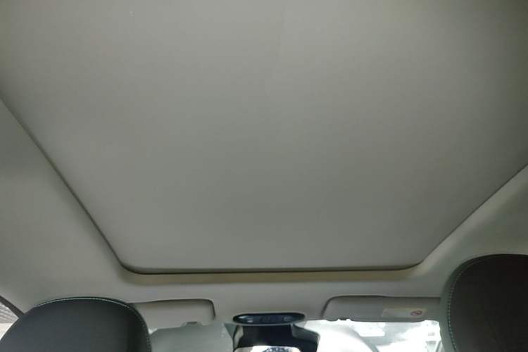 Used AION Y 2024 Plus 510 Intelligent Driving Version Headliner