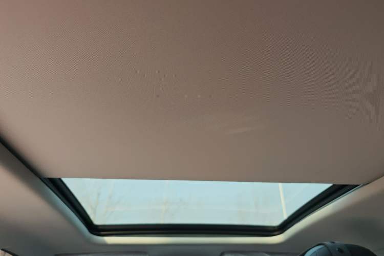 Used AION Y 2024 Plus 610 Intelligent Driving Version Headliner