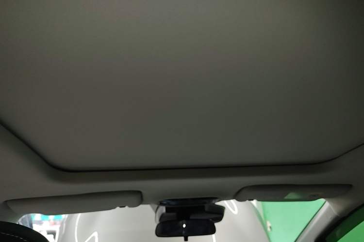 Used AION Y 2024 Plus 510 Intelligent Driving Version Headliner