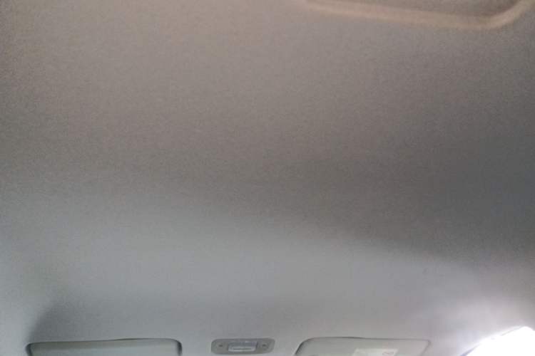 Used AION Y 2024 Plus 510 Intelligent Driving Version Headliner