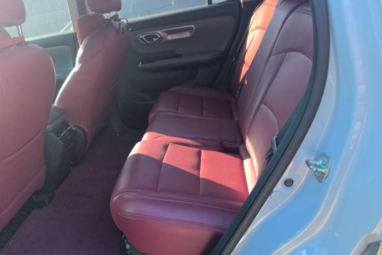 Used AION Y 2024 Younger Left Rear Seat