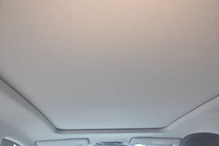 Used AION Y 2024 Plus 510 Intelligent Driving Version Headliner